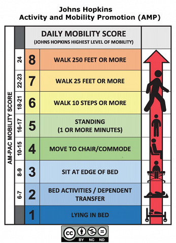 Measuring Physical Function U Of U College Of Health Coh